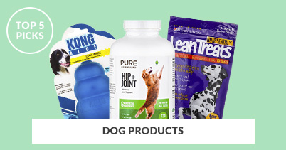 Top 5 Picks - Dog Products