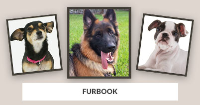 From Our Pet Store: Furbook