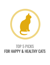 Top 5 Healthy Cats