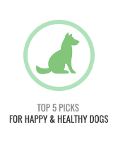 Top 5 Healthy Dogs